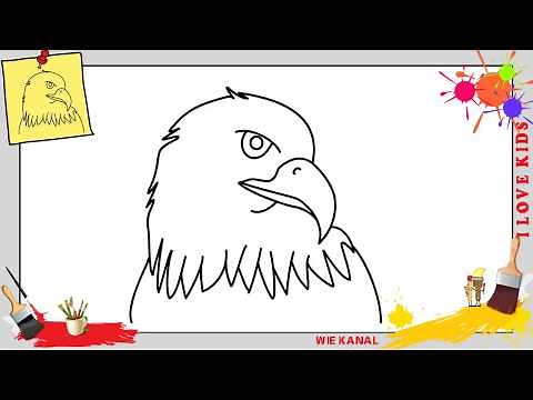 Adler zeichnen 5 schritt für schritt für anfänger & kinder - Zeichnen lernen