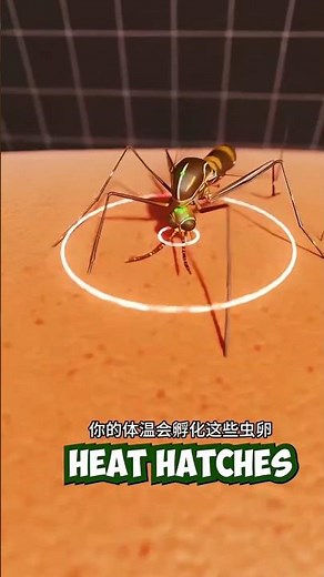 Called the human botfly now it's never #trending #shorts