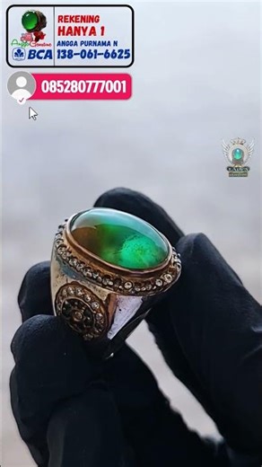NIH FULL KESEGARAN BACAN DOKO SPEK SULTAN #bacandoko #bacankristal #fyp