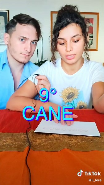 La sfida dei cani e delle cucce: 9 cani in 8 cucce!