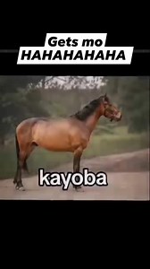 1.8K views · 40 reactions | @highlight #highlightseveryone #fbreels23 #followerseveryone #highlightsシ゚ #trendingreelsvideo #foryoupageシ | Fiyyah ʚĭɞ | Facebook