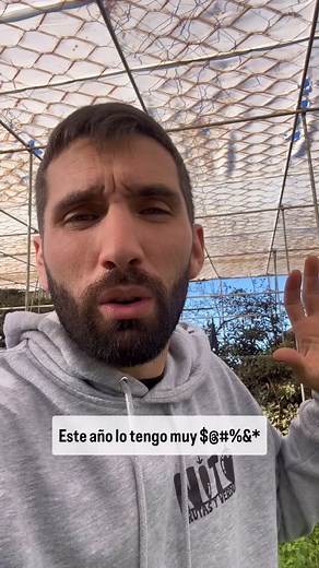 Frutas y Verduras Nito on Instagram: "Buenas tardes ❤️🧑‍🌾 ¿Ya tú votaste por NITO? Soy finalista en unos premios de agro influenser a nivel nacional Y ME GUSTARÍA TRAER el premio para casa 🏠 Y está de manos de ustedes el echarme una mano Va por votación popular 😬 Es un minuto y me harías muy feliz 😂 Seguimos💪🏻 📦 Envíos solo a Canarias 👉🏻 www.frutasyverdurasnito.es 🕒 Mercado: 8:30 a 15h 🕒 Cafetería: 08h a 15h 📍 Carretera El Portezuelo-Las Toscas, 174. Tegueste. #FrutasYVerdurasNito #