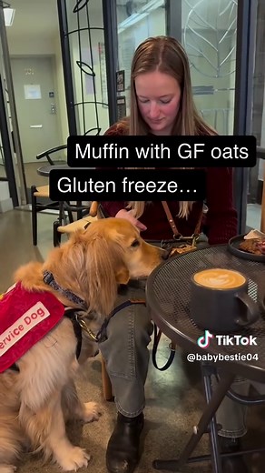 Gluten Detection Service Dog Training | Dog Trainer Tips