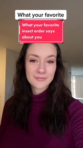 Exploring the Fascinating World of Insects and Bugs