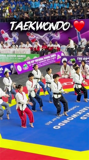 Taekwondo demonstration #taekwondo #action #demonstration #tkd ￼