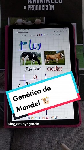 Genética de Mendel 🐮
