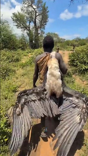 How Chaba Became the King of the Jungle Tribe? #facts #shorts #reels #adivasi #hindifacts #tribal