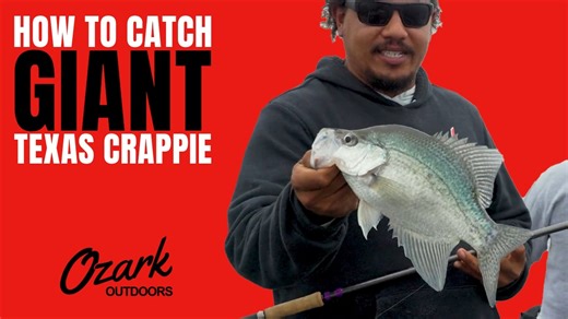 3.6K views · 42 reactions | Join pro anglers Zach Minnix and Jordan Sanders for an exciting time on the water catching giant crappie on Lake Limestone in Texas. | Ozark Rods | Facebook