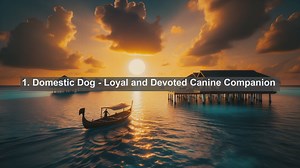 Discover Botswanas Top 10 Favorite Pets: Your Guide to Furry Companions!