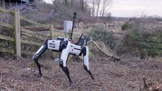 6.7K views · 75 reactions | A surveyor's best friend? Meet Spot, Boston Dynamics’ autonomous robot dog. Later this year we'll be trialling Spot as part of our geotechnical surveys taking place in the South West. Spot offers an innovative option when surveying inaccessible areas or where safety issues might put our inspectors at risk. Find out more below: ▶️ https://nationalhighways.co.uk/our-work/innovation-and-research/news/spot-the-robot-dog/ | National Highways | Facebook
