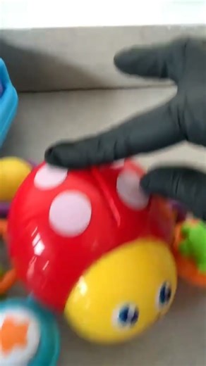 FAST CRAWLING LADY BUG #colorful #fun #shortvideo #asmr #satisfying #youtubeshorts