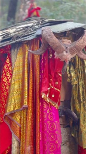 Dev Pashakot #himachal