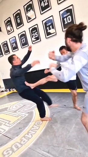 MARTIALARTS on TikTok