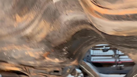 David Bishop on Reels