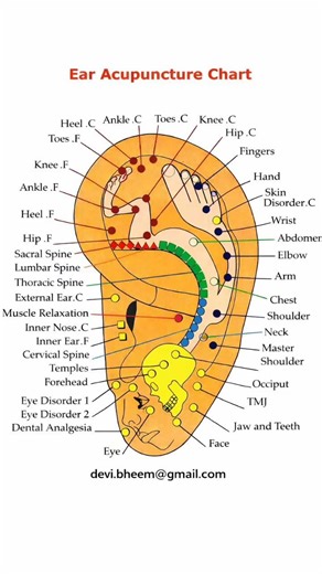 Ear Acupressure