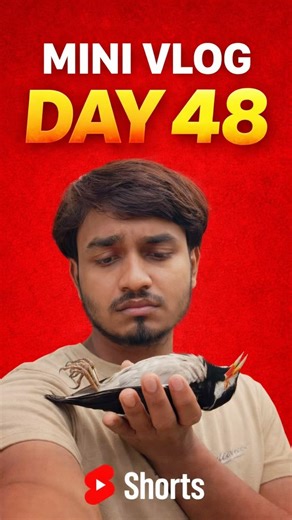 এরকম হবে ভাবিনি || শেষ বিদায় Mini Vlog Day 48 #minivlog #bengali #shorts