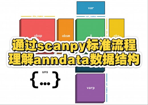 通过scanpy标准流程理解anndata数据结构