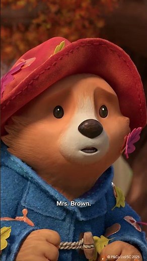 Paddington | Autumn Leaves