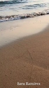 Totalmente... | Sara Ramirez