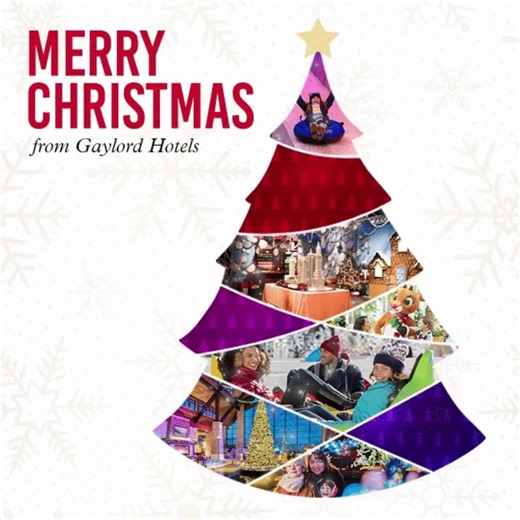 1K views · 40 reactions | Merry Christmas from the STARS of Gaylord Opryland. Thank you for including us as a part of your holiday memories!  | Gaylord Opryland Resort & Convention Center | Facebook