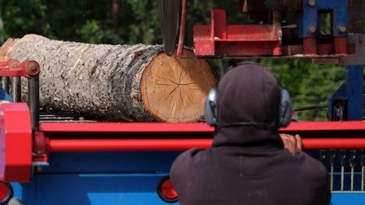 U.S. hikes anti-dumping duties on Canadian softwood lumber | Hanomansing Tonight