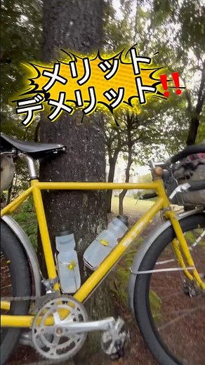 The advantages and disadvantages of a randonneur bicycle! #randonneur #bicycle #roadbike