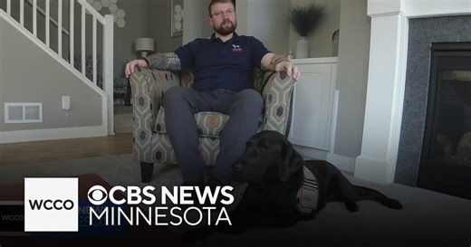 Service dogs offer comfort, companionship to Minnesota veterans
