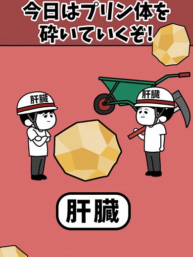 痛風の仕組みをアニメで学ぶ