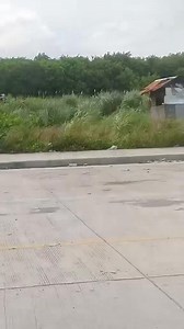 19K views · 551 reactions | Money hunt challenge number 51 , 52 ug 53 atong gibalik sa Cansaga Bridge mga idol.Balig tulo tanan. #padayonsabuhatngamaayo #padayonsabuhatngamaayo #yourboardmembermalcolmsanchez #IdolSaMasa #ToGodBeTheHighestGloryAndHonor | Malcolm A. Sanchez | Facebook