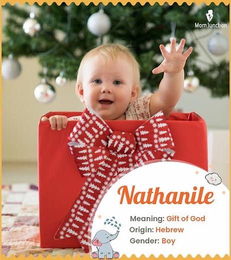 Nathaniel Name, Meaning, Origin, History, And Popularity