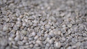 Zbliżenie na spadające do jutowego worka ziarna surowej kawy w zwolnionym tempie.