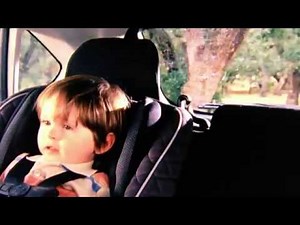 Subaru Commercial with Chocolate Lab Puppy