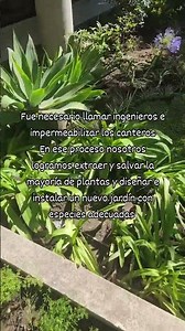 Renovación de Canteros