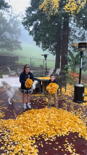 Casper and Rio on Instagram: "Pure joy."