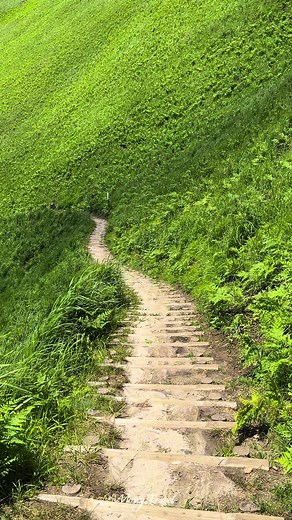 日本一美しい緑の階段で感じる夏の絶景