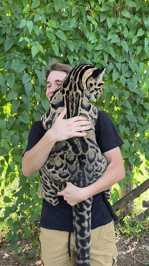 Love getting to spend my days with these amazing kids #animals #cats #...