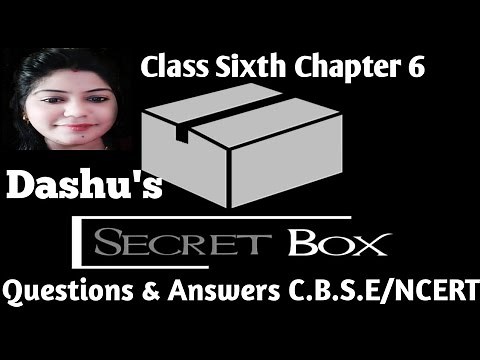 Class-6th/Chapter-6 Dashu's Secret Box (Questions and Answers)