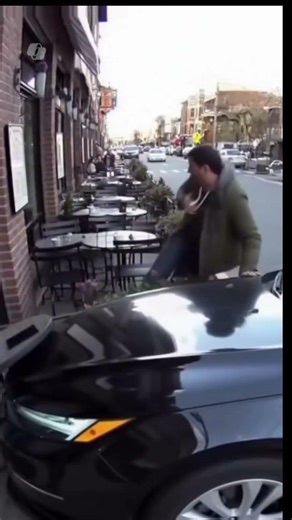 Protective dog 🐕 ❄️ that was cold #shortviral #dogshorts #viralvideo #fypシ゚viral