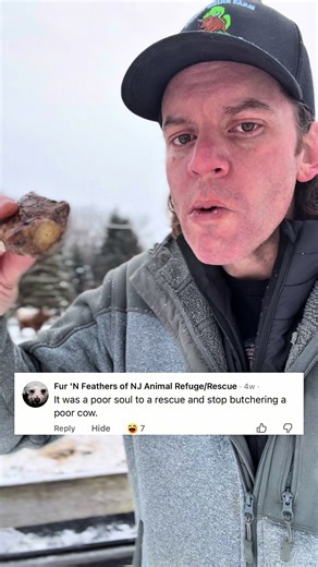 Let’s cook up some mini cow for Lunch! #dexter #minicow #steak #beef #bayharbourbutcher