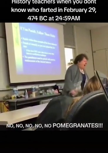 Understanding the No Pomegranates Meme in Schools