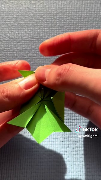 Traditional Origami Turtle Tutorial
