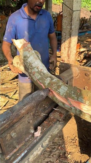 Wood processing machine #shorts #woodwork #woodcutting #skills