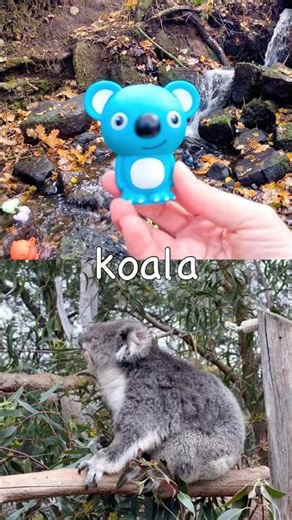 Animal Names | Kids Learn at the Waterfall: Tortoise Hedgehog Cat Koala Capybara