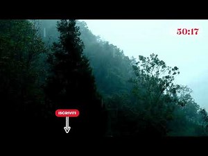 1 Hour Study Timer Rain Sounds and Calm Music for Focus