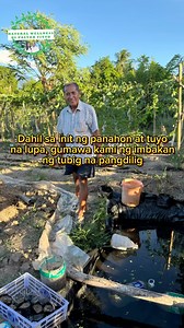 67K views · 1.1K reactions | Dahil sa init ng panahon at tuyo na lupa ay gumawa kami ng imbakan ng tubig na pandilig. Nilalagyan din ng azolla para hindi bahayan ng lamok. Hindi abot ang tubig sa buong bukid kaya hinawan nalang ng paraan. Kaya sagana sa dilig ang mga halaman kahit tag-init. #naturalwellnessnipastorvitto #alonavitto #gardening #fypviralシ | Natural Wellness ni Pastor Vitto | Facebook