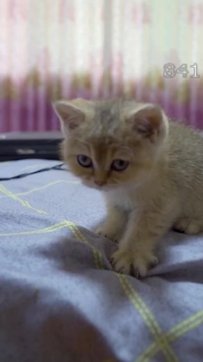 29K views · 262 reactions | Cartoon Videos on Reels | Facebook