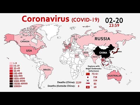 World Map Timelapse of the Coronavirus (Since January 2020)