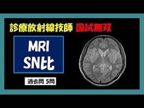 [Radiological Technologist National Examination] MRI SNR