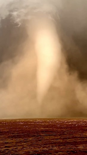 Check out the early stages of the Yuma, Colorado #tornado in August 8, 2023 from the first suction vortices of dust to the dusty wedge to the bright white cone. Colorado just had an absolutely insane storm season #stormchasing | Reed Timmer Extreme Meteorologist