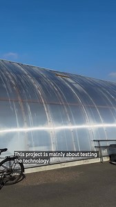 177K views · 493 reactions | Something is growing in the heart of...